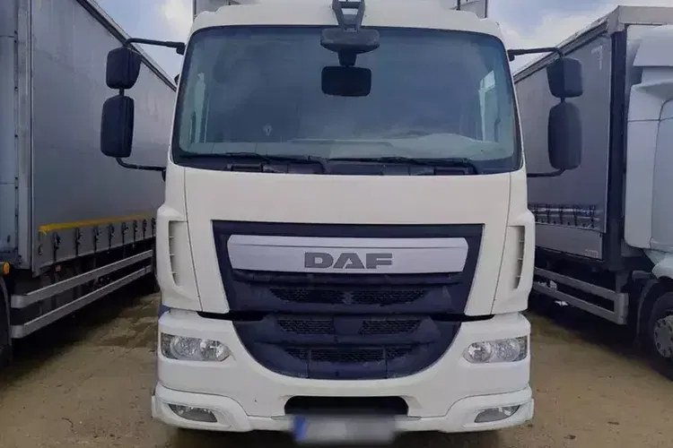 DAF LF 250 / firanka 18 EPAL / kab. sypialna zdjęcie 2