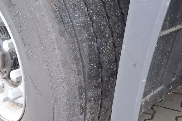 Krone PLANDEKA MEGA zdjęcie 14