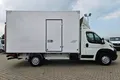 samochód dostawczy Peugeot zdjęcie 7