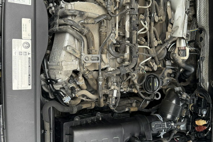 Volkswagen Golf Bardzo zadbana - oryginalny przebieg - zdjęcie 16