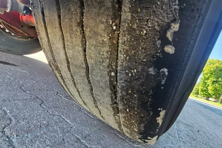 Reisch 48M zdjęcie 10