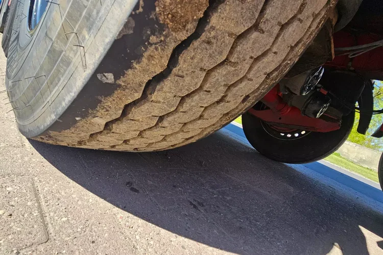 Reisch 48M zdjęcie 12