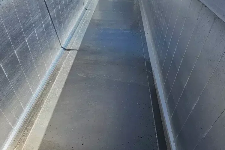 Reisch 48M zdjęcie 18