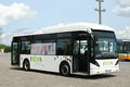 autobus VAN HOOL zdjęcie 2