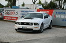 Ford Mustang GT 4.6 V8 305KM Manual 2006r. Klima TEMPOMAT 17" ZADBANY Polecam zdjęcie 2