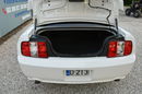 Ford Mustang GT 4.6 V8 305KM Manual 2006r. Klima TEMPOMAT 17" ZADBANY Polecam zdjęcie 25
