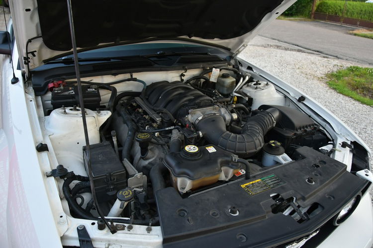 Ford Mustang GT 4.6 V8 305KM Manual 2006r. Klima TEMPOMAT 17" ZADBANY Polecam zdjęcie 26