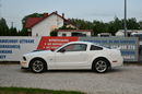 Ford Mustang GT 4.6 V8 305KM Manual 2006r. Klima TEMPOMAT 17" ZADBANY Polecam zdjęcie 3