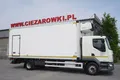 samochód ciężarowy DAF zdjęcie 2