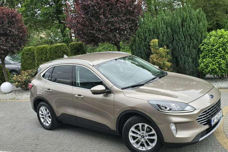 Ford Kuga 1.5 EcoBlue 120KM Titanium / Salon PL I-właściciel zdjęcie 1