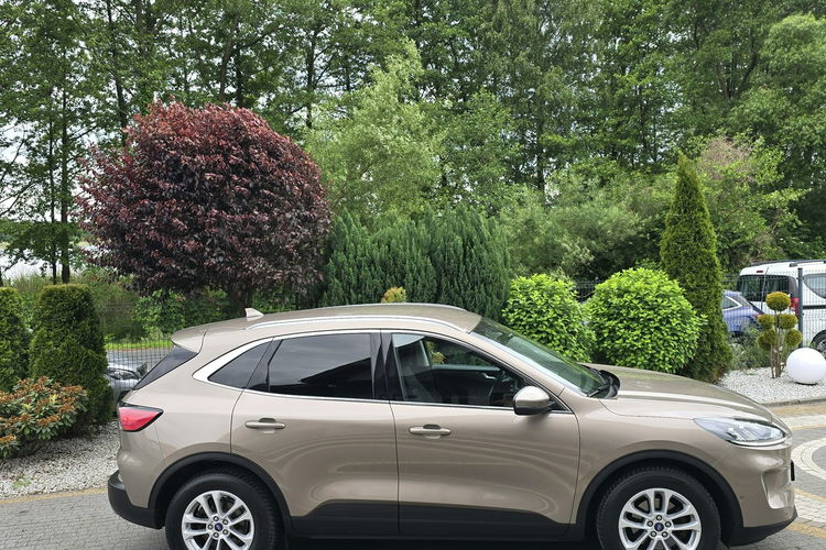 Ford Kuga 1.5 EcoBlue 120KM Titanium / Salon PL I-właściciel zdjęcie 15