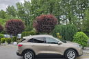 Ford Kuga 1.5 EcoBlue 120KM Titanium / Salon PL I-właściciel zdjęcie 8