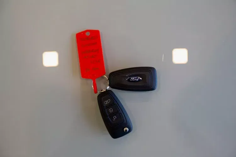 Ford tourneo-custom zdjęcie 10