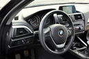 118 1.6i(170KM) Lift Xenon Led Duża Navi Parktronik I Wł Alu17"ASO BMW zdjęcie 22