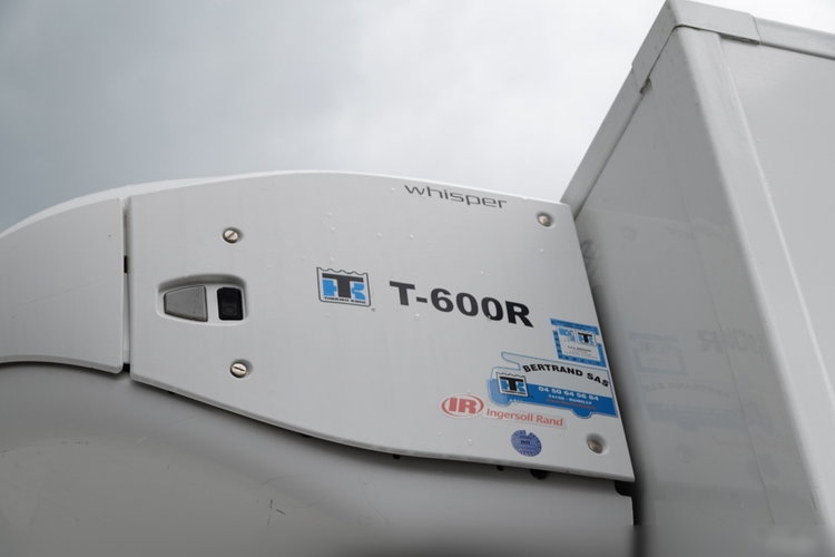 MAN TGM 12.290 / 4x2 / CHŁODNIA 6, 5 M / AGREGAT THERMO KING T-600 R  / WINDA ZAŁADOWCZA DHOLLANDIA / SPROWADZONY  zdjęcie 29