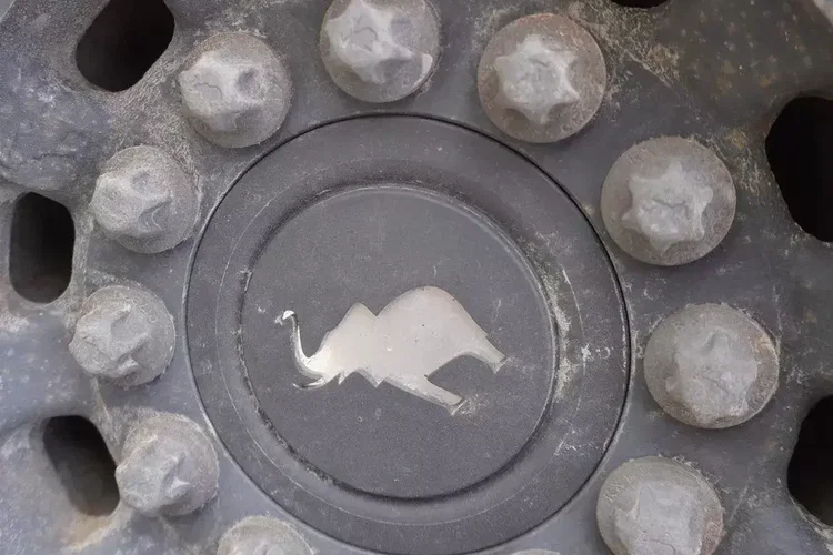 Schmitz Thermoking SLX I Spectrum 250 / Multitemperatura / 5 szt zdjęcie 10