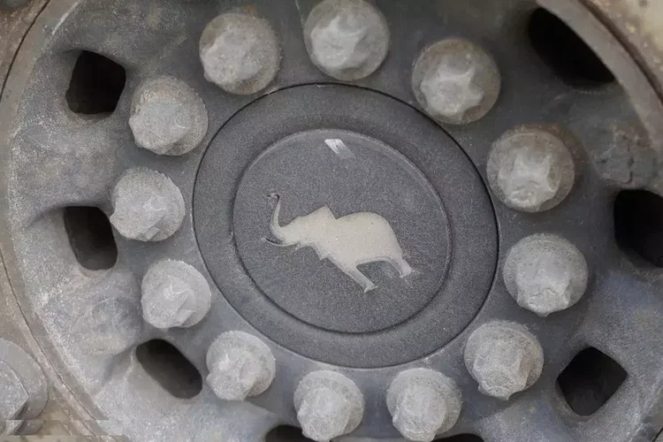 Schmitz Carrier Vector 1550 / 5 szt zdjęcie 7