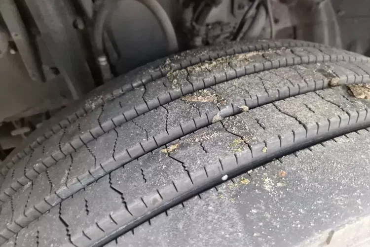 Scania R 500 LA4x2HNA zdjęcie 6