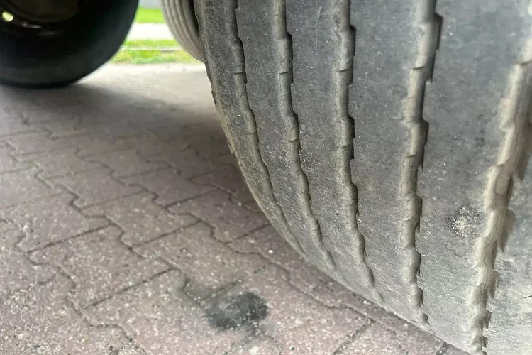 Schmitz Cargobull SKI 24 SL-10.5 zdjęcie 6