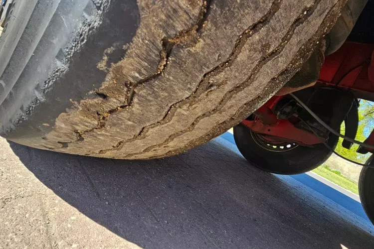 Reisch 48M zdjęcie 13