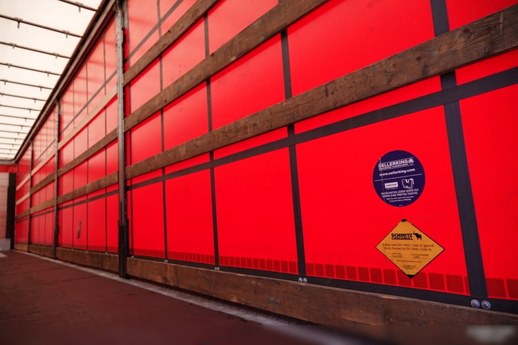 Schmitz -CARGOBULL / FIRANKA / STANDARD / 2 OSIE PODNOSZONE / SPROWADZONA zdjęcie 17