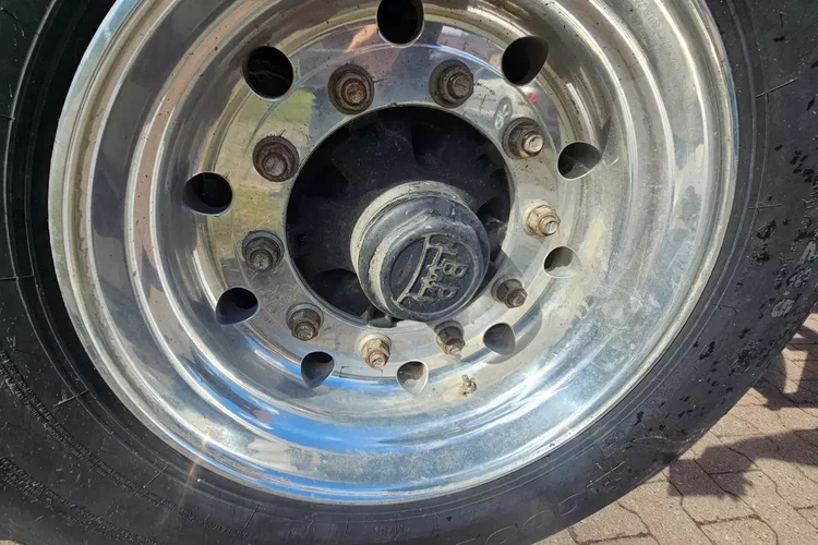 CARNEHL CHKS/A 52M zdjęcie 17