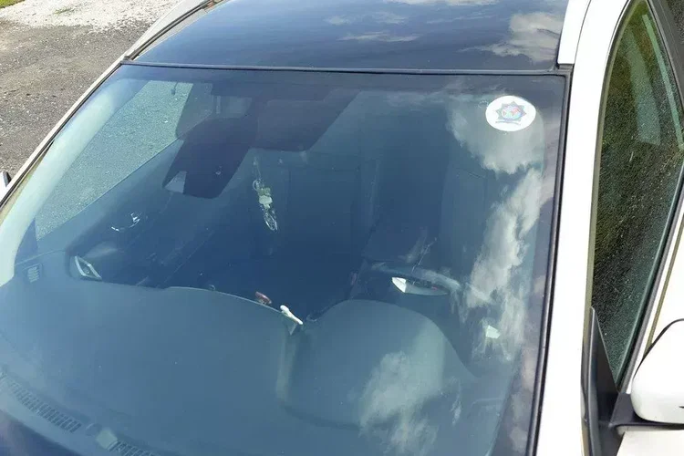 Nissan qashqai zdjęcie 8