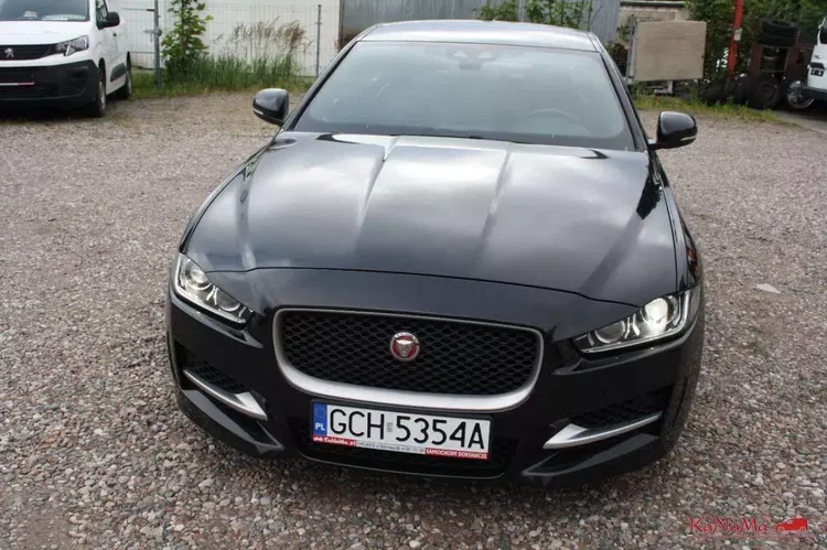 Jaguar xe zdjęcie 7
