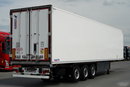 SCHMITZ CARGOBULL / 2023 ROK / CHŁODNIA / THERMO KING SLX 300 / DOPPELSTOCK / KOSZ NA PALETY  zdjęcie 8