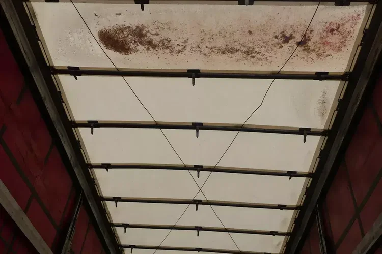 Schmitz FIRANKA / VARIOS / 2 POZYCJE ZAWIESZENIA / DACH PODNOSZONY / zdjęcie 10