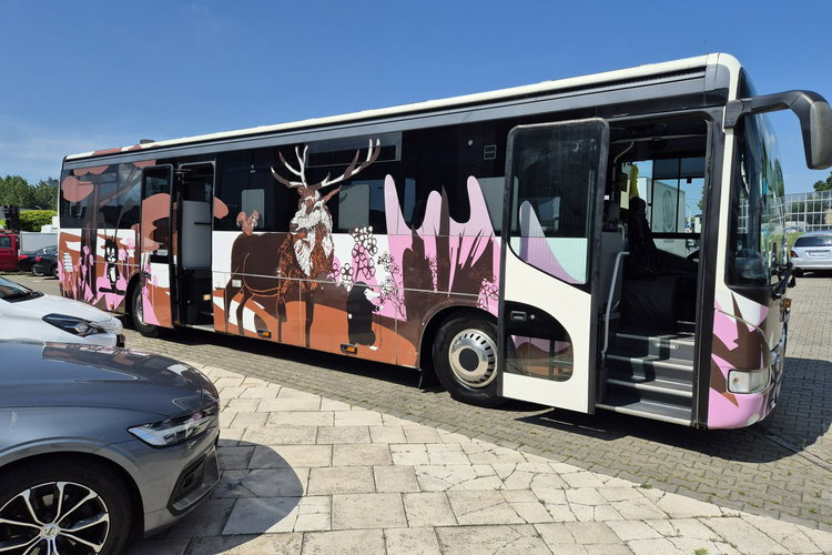 330S / KAMPER + AUTOBUS KAMPER / AUTOBUS/ NOWA ZABUDOWA / SOLAR NA DACHU / ŁAZIENKA / KUCHENKA zdjęcie 26