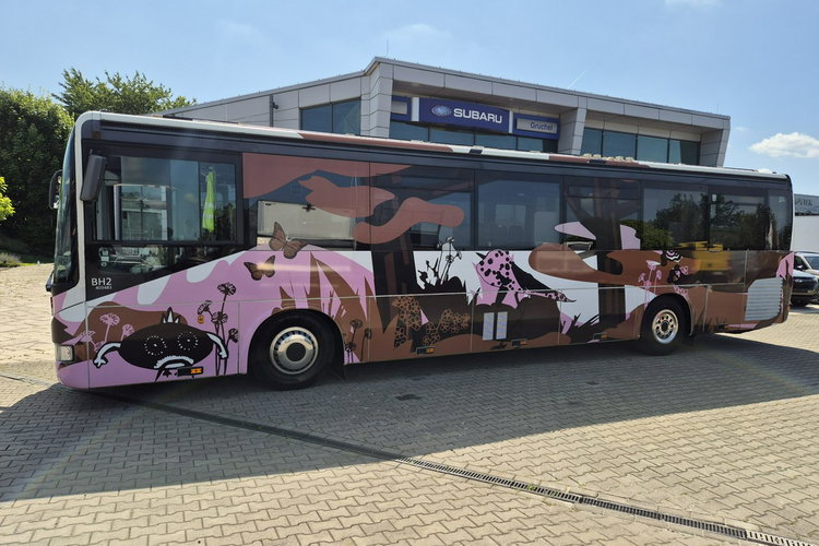 330S / KAMPER + AUTOBUS KAMPER / AUTOBUS/ NOWA ZABUDOWA / SOLAR NA DACHU / ŁAZIENKA / KUCHENKA zdjęcie 37