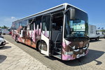 330S - Kamper AUTOBUS KAMPER / AUTOBUS/ NOWA ZABUDOWA / SOLAR NA DACHU / ŁAZIENKA / KUCHENKA zdjęcie 4
