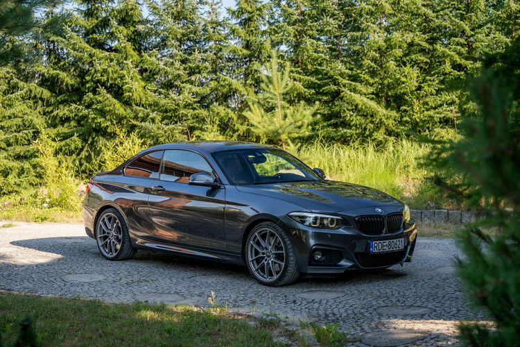 BMW 220 M Pakiet / 220D / 2.0 190KM / Coupe / Bezwypadkowy / OZ Racing zdjęcie 21