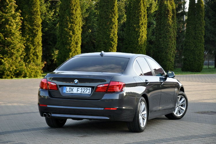 BMW 530 3.0d(258KM) Bi-Xenon Ringi Navi Profesjonal Skóry 2xParktr. Alu 17"ASO zdjęcie 6