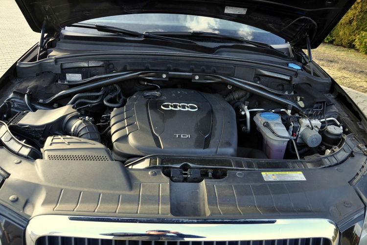 Q5 2.0TDI(170KM) Quattro Navi Xenon Led Parktronik Chrom Alu18"ASO Audi zdjęcie 38