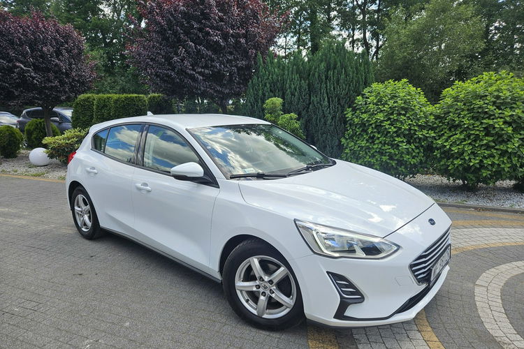 Ford Focus 1.5 EcoBlue 95KM / Salon PL I-właściciel / Bezwypadkowy zdjęcie 1