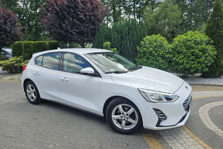 Ford Focus 1.5 EcoBlue 95KM / Salon PL I-właściciel / Bezwypadkowy zdjęcie 21