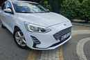 Ford Focus 1.5 EcoBlue 95KM / Salon PL I-właściciel / Bezwypadkowy zdjęcie 22