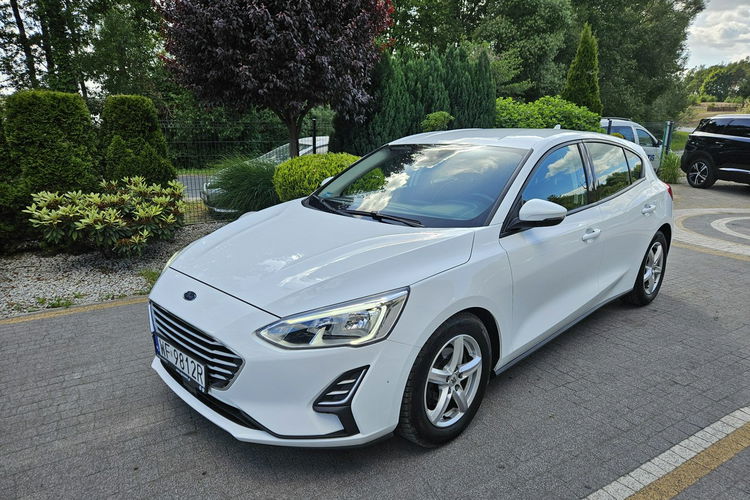 Ford Focus 1.5 EcoBlue 95KM / Salon PL I-właściciel / Bezwypadkowy zdjęcie 4