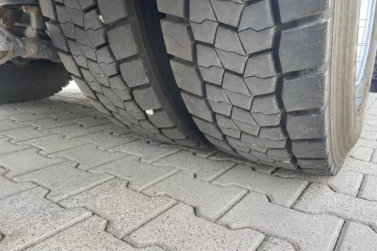 MAN TGS 26.360 CHŁODNIA 8.10m ( 20 europalet ) zdjęcie 16