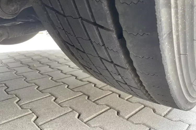 MAN TGS 26.360 CHŁODNIA 8.10m ( 20 europalet ) zdjęcie 17