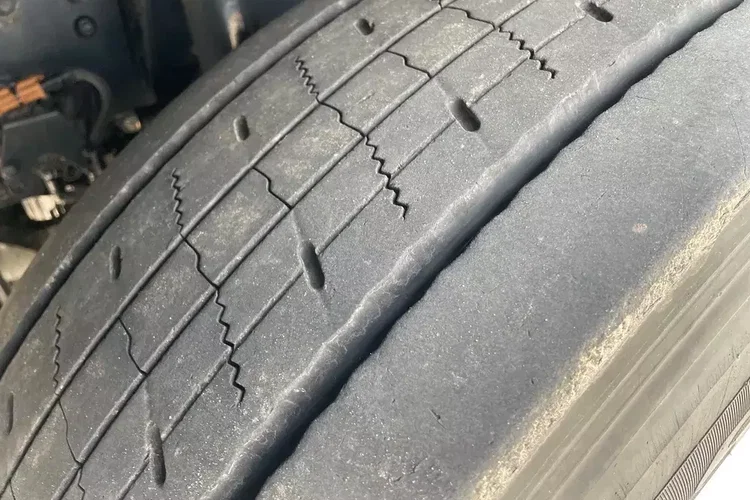 MAN TGS 26.360 CHŁODNIA 8.10m ( 20 europalet ) zdjęcie 18