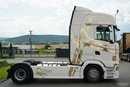 Scania S 500 / RETARDER / CAŁA NA PODUSZKACH / PO KONTRAKCIE SERWISOWYM / SPROWADZONY  zdjęcie 11