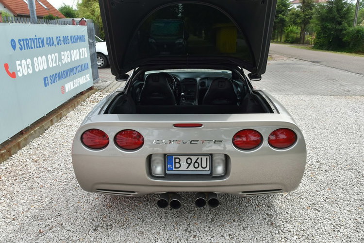 Chevrolet Corvette Coupe Targa 5.7 V8 355KM 1999r. Manual Alu zdjęcie 24