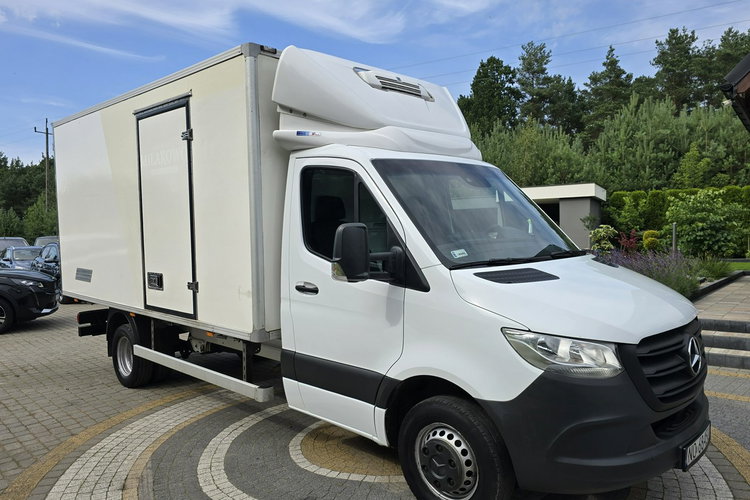 Mercedes Sprinter 519 CDi 3.0 CDi 190KM / Chłodnia Thermo King C350e / Mroźnia / do 3.5T zdjęcie 1