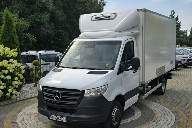 Mercedes Sprinter 519 CDi 3.0 CDi 190KM / Chłodnia Thermo King C350e / Mroźnia / do 3.5T zdjęcie 11