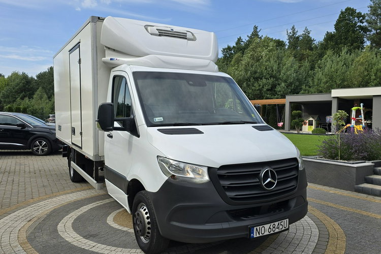 Mercedes Sprinter 519 CDi 3.0 CDi 190KM / Chłodnia Thermo King C350e / Mroźnia / do 3.5T zdjęcie 2