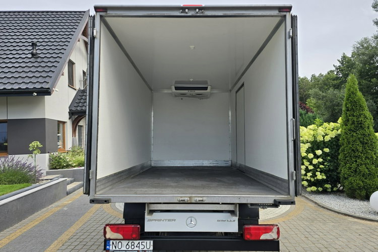 Mercedes Sprinter 519 CDi 3.0 CDi 190KM / Chłodnia Thermo King C350e / Mroźnia / do 3.5T zdjęcie 5