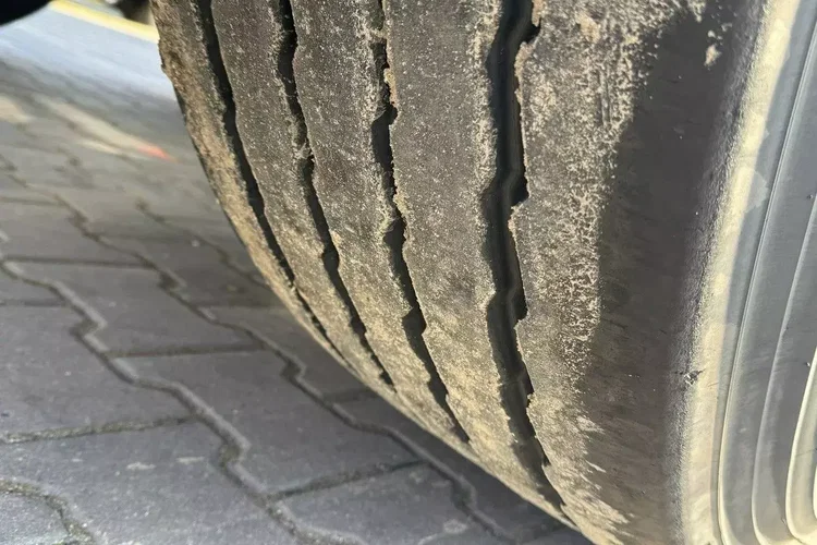 LAG Spożywcza Magyar Izolowana Webasto Pompa Elektryczna do Zrzutu zdjęcie 15